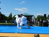 Bilder_2012 (6)